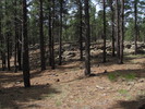 photo thumbnail #11