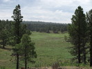 photo thumbnail #14