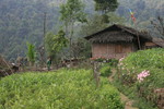 photo thumbnail #11