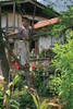 photo thumbnail #12