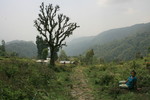 photo thumbnail #14