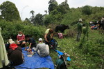 photo thumbnail #15