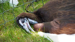 photo thumbnail #2