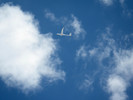 photo thumbnail #14