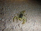 photo thumbnail #10