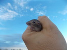 photo thumbnail #1
