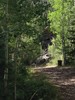 photo thumbnail #4