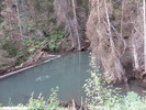 photo thumbnail #9