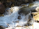 photo thumbnail #15