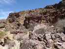 photo thumbnail #13