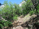 photo thumbnail #4