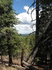 photo thumbnail #7