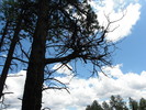 photo thumbnail #12