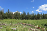 photo thumbnail #6