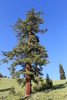photo thumbnail #14