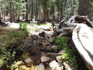 photo thumbnail #5