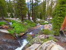 photo thumbnail #15