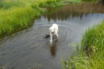 photo thumbnail #3