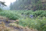 photo thumbnail #9