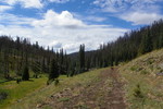 photo thumbnail #14
