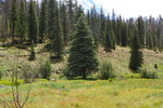 photo thumbnail #15
