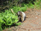 photo thumbnail #2