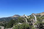 photo thumbnail #8