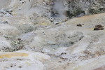 photo thumbnail #13