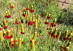 photo thumbnail #5