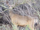 photo thumbnail #7