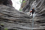 photo thumbnail #14