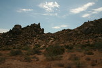 recent photo