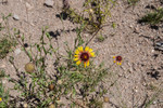 photo thumbnail #2