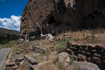photo thumbnail #11