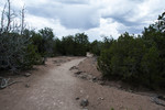 photo thumbnail #4