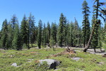 photo thumbnail #1