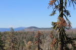 photo thumbnail #6