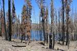 photo thumbnail #9