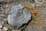 photo thumbnail #10
