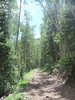 photo thumbnail #8