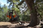 photo thumbnail #4