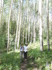 photo thumbnail #1