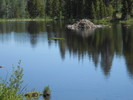 photo thumbnail #5