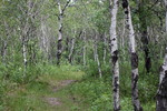 photo thumbnail #6