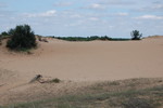 photo thumbnail #10