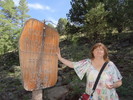 photo thumbnail #8