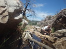 photo thumbnail #6