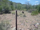photo thumbnail #9