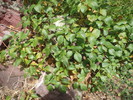 photo thumbnail #12