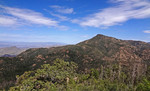 2014-07-12 :1: Mount Peeley Summit :: Grasshopper